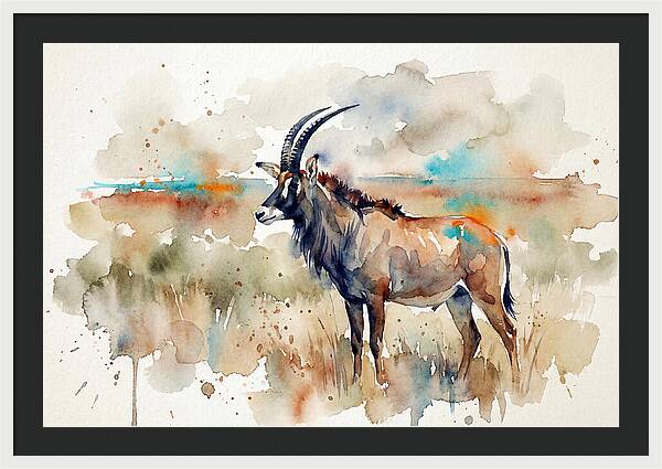 Roan Antelope Watercolor
