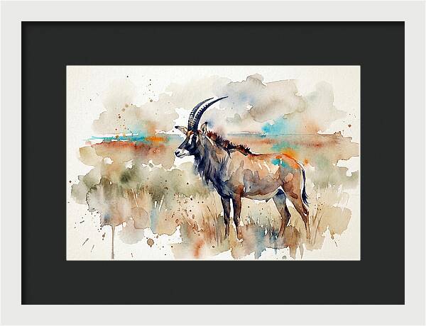 Roan Antelope Watercolor