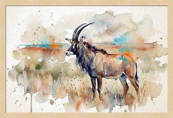 Roan Antelope Watercolor