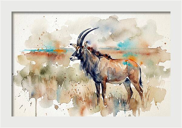 Roan Antelope Watercolor