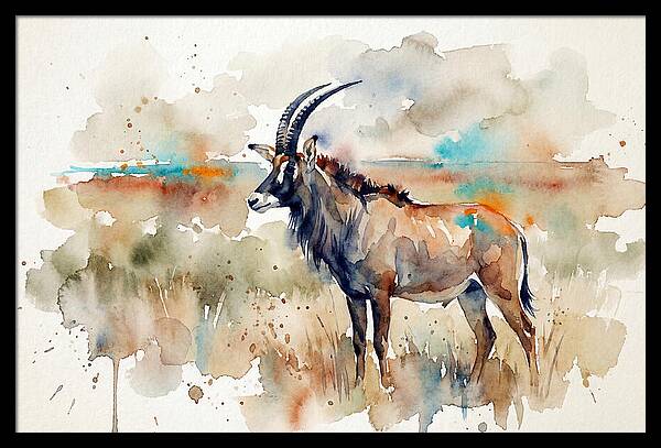 Roan Antelope Watercolor