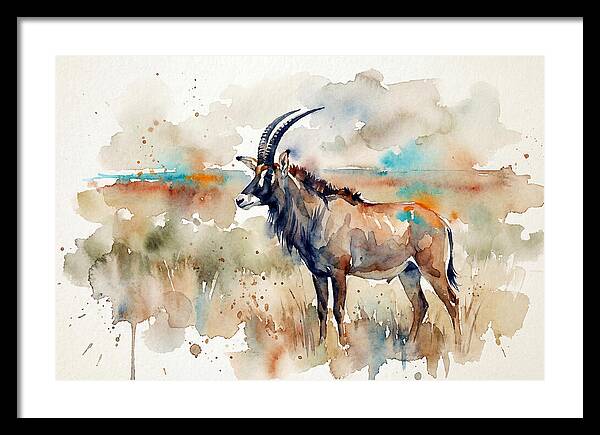Roan Antelope Watercolor