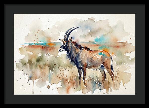 Roan Antelope Watercolor