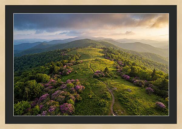 Roan Highlands Serenity