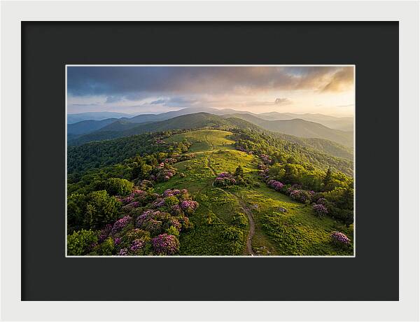 Roan Highlands Serenity
