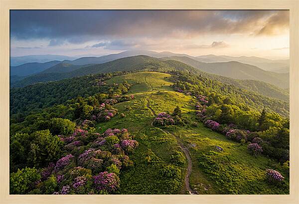 Roan Highlands Serenity
