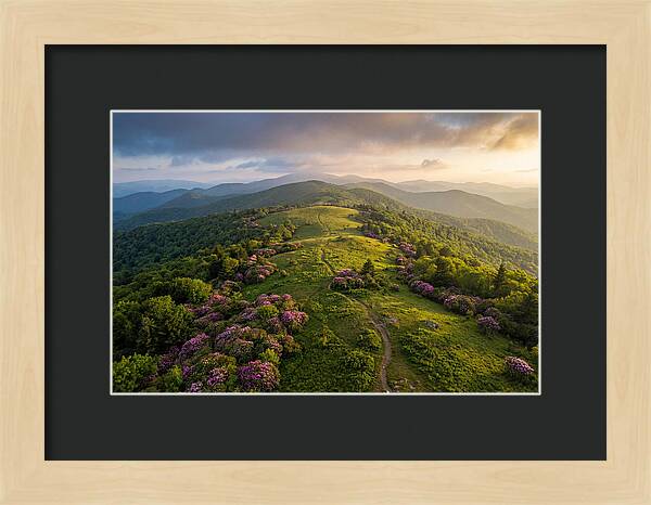 Roan Highlands Serenity