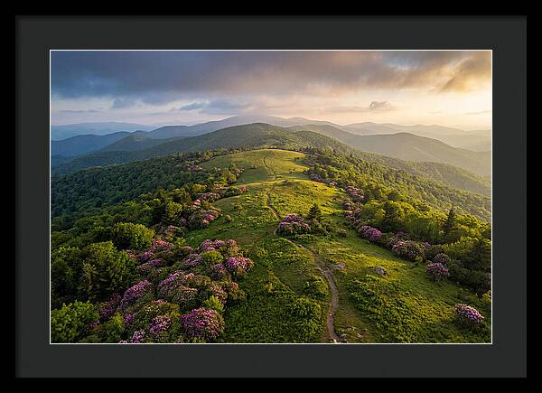 Roan Highlands Serenity