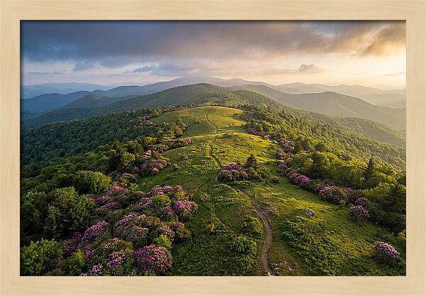 Roan Highlands Serenity