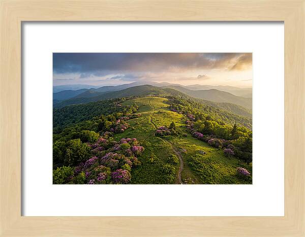 Roan Highlands Serenity