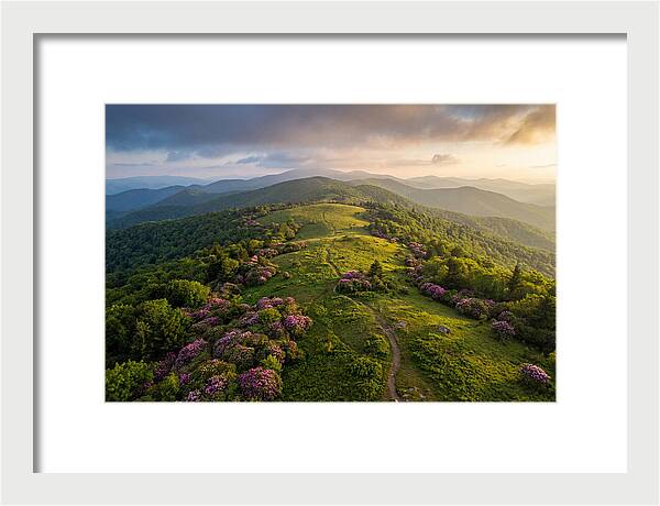 Roan Highlands Serenity
