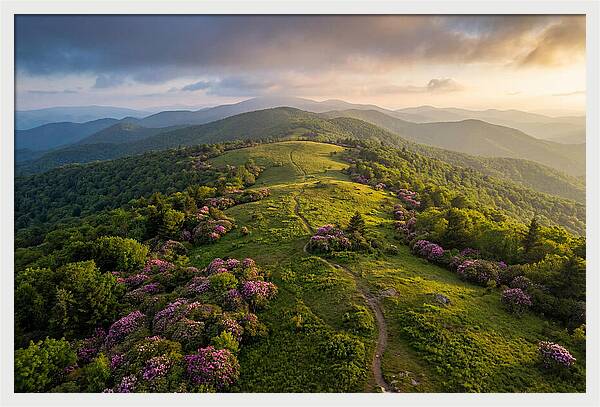 Roan Highlands Serenity