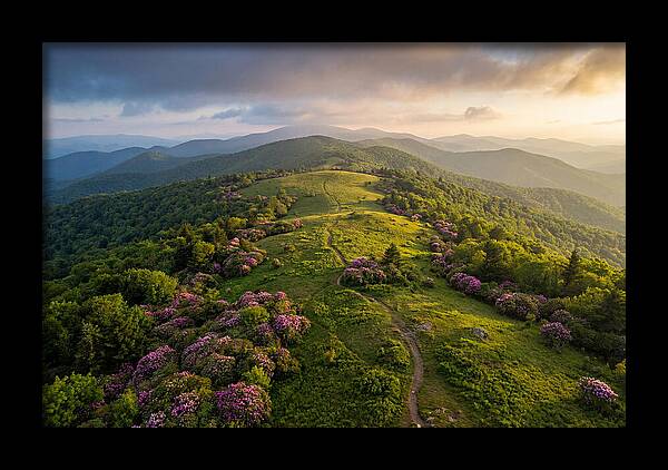 Roan Highlands Serenity