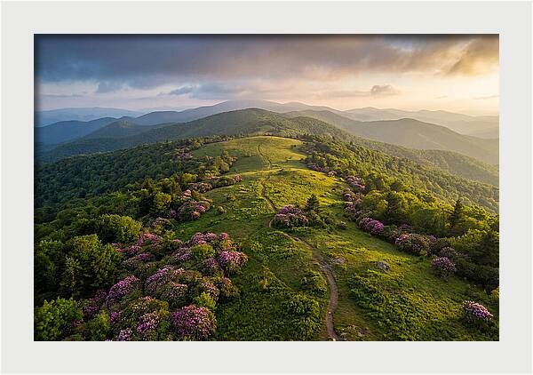 Roan Highlands Serenity