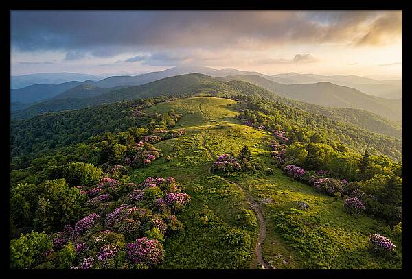 Roan Highlands Serenity