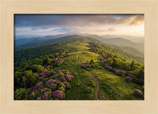 Roan Highlands Serenity