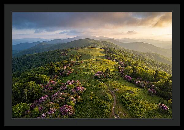Roan Highlands Serenity
