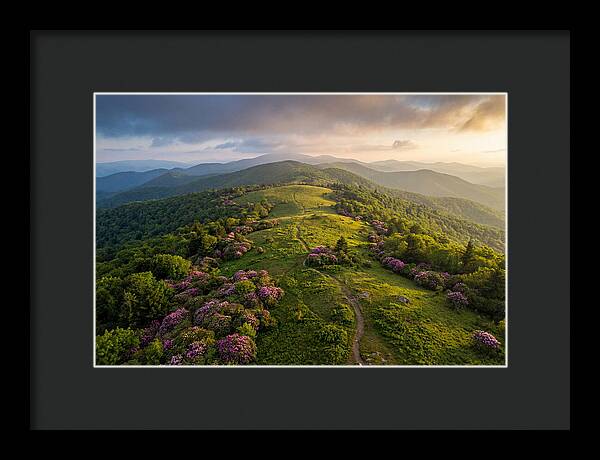 Roan Highlands Serenity