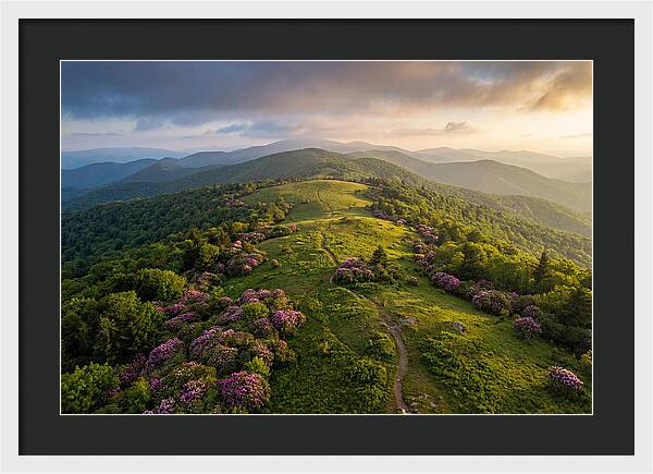 Roan Highlands Serenity