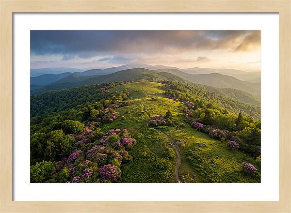 Roan Highlands Serenity