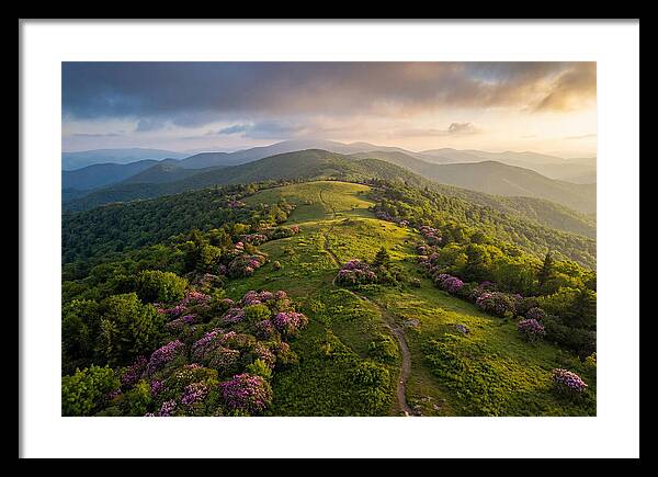 Roan Highlands Serenity