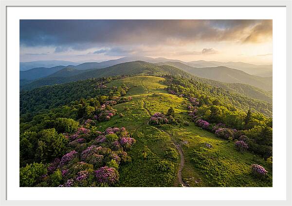 Roan Highlands Serenity