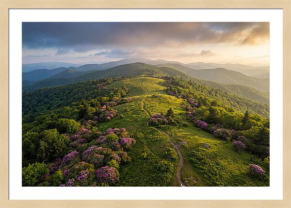 Roan Highlands Serenity