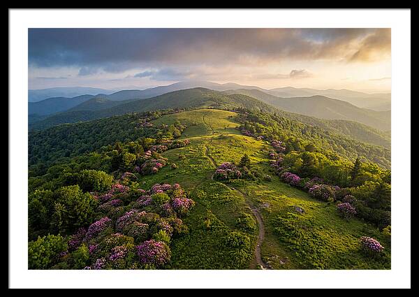 Roan Highlands Serenity