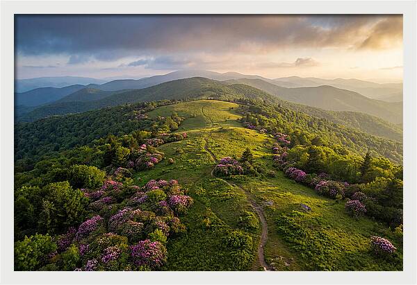 Roan Highlands Serenity