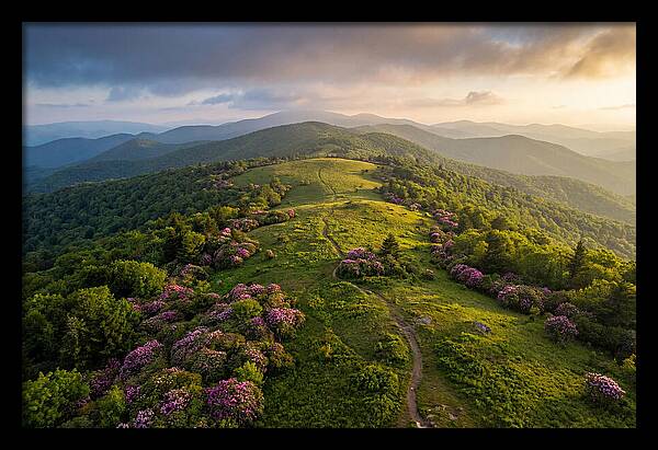 Roan Highlands Serenity
