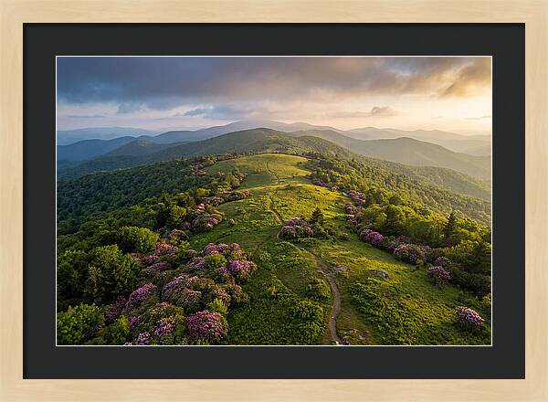 Roan Highlands Serenity