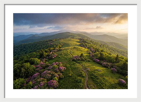 Roan Highlands Serenity