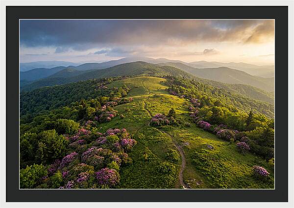 Roan Highlands Serenity