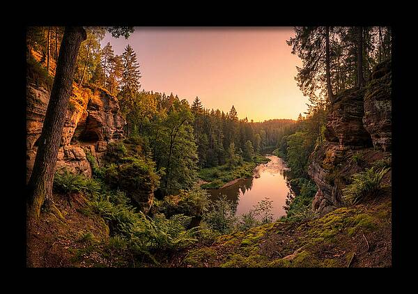 Robbers Cave Serenity