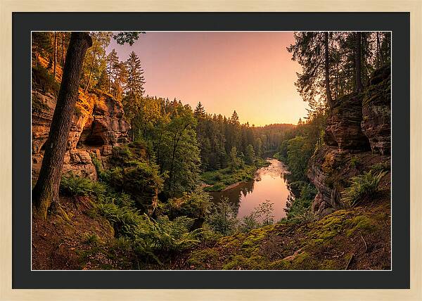 Robbers Cave Serenity
