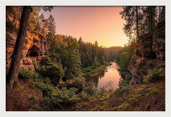 Robbers Cave Serenity
