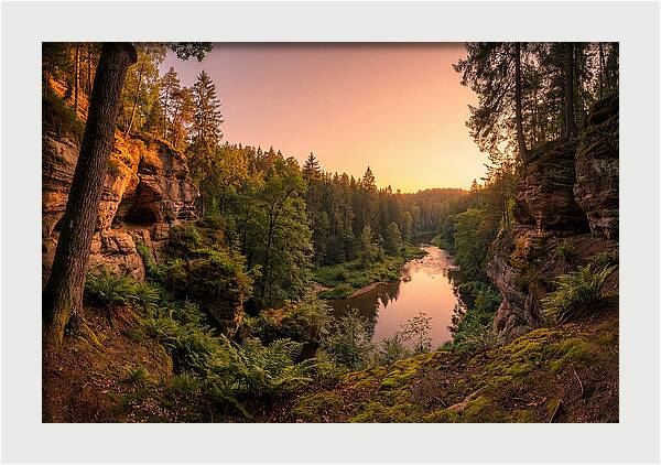 Robbers Cave Serenity