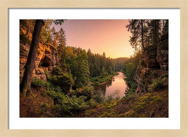 Robbers Cave Serenity