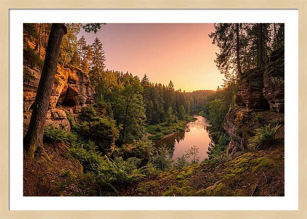 Robbers Cave Serenity