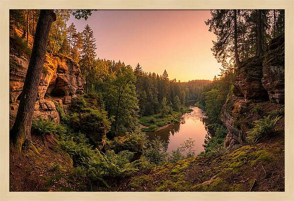 Robbers Cave Serenity