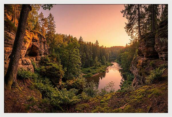 Robbers Cave Serenity