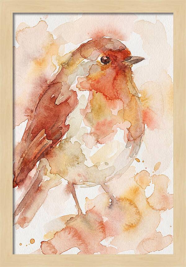 Robin In Watercolor Hues