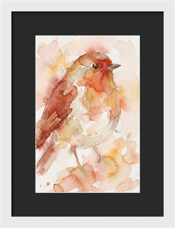 Robin In Watercolor Hues