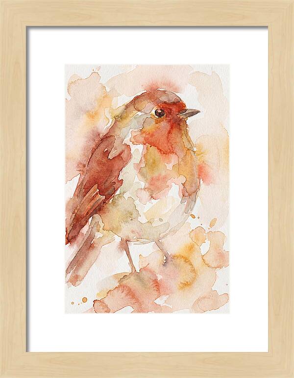Robin In Watercolor Hues