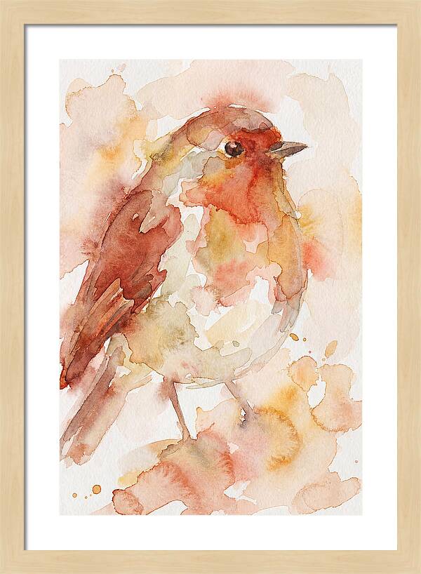 Robin In Watercolor Hues