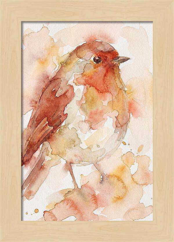 Robin In Watercolor Hues