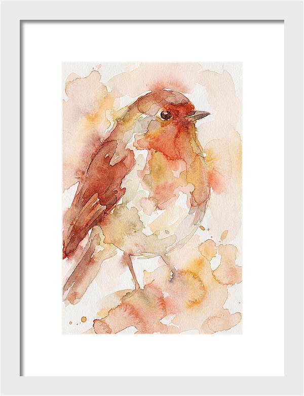 Robin In Watercolor Hues