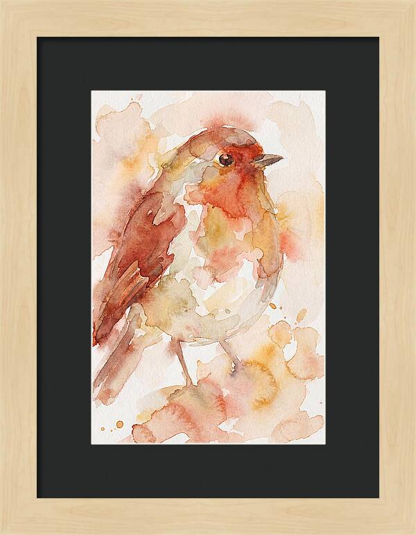 Robin In Watercolor Hues
