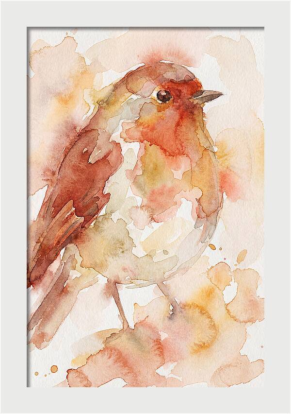 Robin In Watercolor Hues