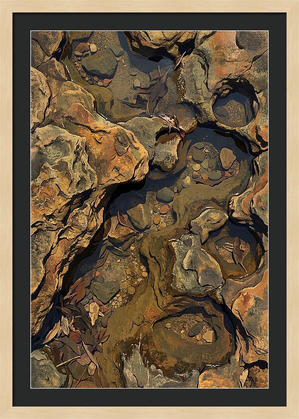 Rock Pool Reflections